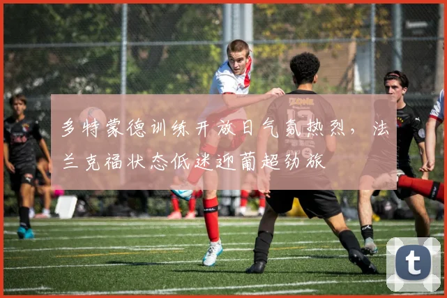 多特蒙德训练开放日气氛热烈,法兰克福状态低迷迎葡超劲旅 - 好博体育官方入口